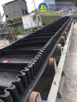 Băng tải gầu (vách ngăn) cho trạm bê tông có bèo (rèm) chắn 2 bên